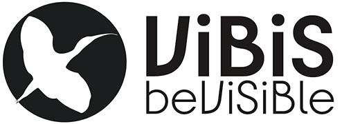 ViBiS-beViSiBle